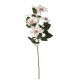 Clematis Spray - Ivory